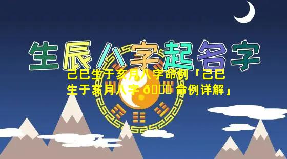 己巳生于亥月八字命例「己巳生于亥月八字 🐕 命例详解」